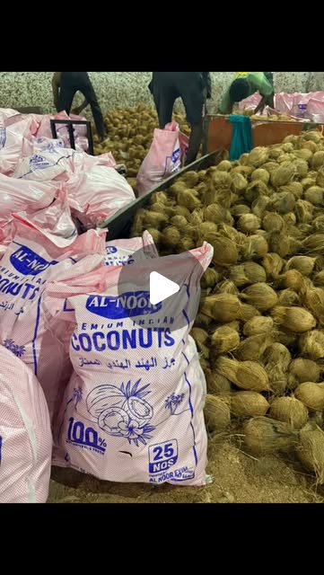 Semi-husked coconuts beside export bags