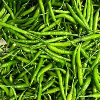 Fresh green chillies