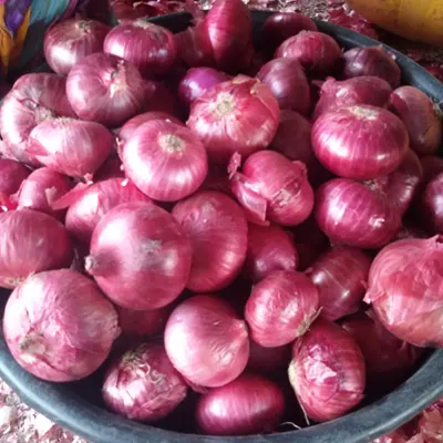 Indian red onions